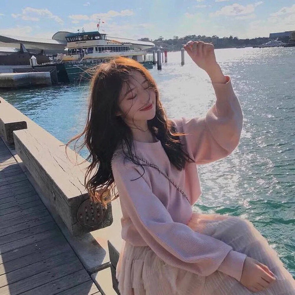 秋田犬蓬夫